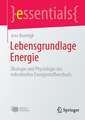 Lebensgrundlage Energie: Ökologie und Physiologie des mikrobiellen Energiestoffwechsels