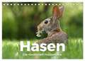 Hasen - Die niedlichen Hoppeltiere. (Tischkalender 2024 DIN A5 quer), CALVENDO Monatskalender