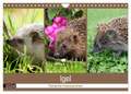 Igel 2024. Tierische Impressionen (Wandkalender 2024 DIN A4 quer), CALVENDO Monatskalender