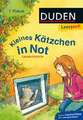 Leseprofi - Kleines Kätzchen in Not, 1. Klasse