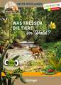 Was fressen die Tiere im Wald?