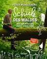 Peter Wohllebens Schule des Waldes