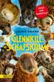 Glennkill