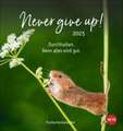 Never give up! Postkartenkalender 2025