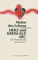 Herz und Kreislauf ABC: Motor des Lebens