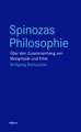 Spinozas Philosophie