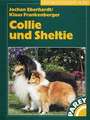 Collie und Sheltie