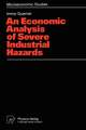 An Economic Analysis of Severe Industrial Hazards