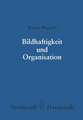 Bildhaftigkeit und Organisation: Untersuchungen zu einer differenzierten Organisationshyothese