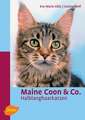 Maine Coon & Co