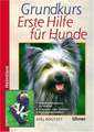 Grundkurs Erste Hilfe für den Hund