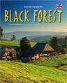 Journey Through the Black Forest: Rangordnung Und Idoneitat in Hofischen Gesellschaften Des Spaten Mittelalters