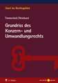 Grundriss des Konzern- und Umwandlungsrechts