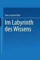 Im Labyrinth des Wissens: Zu Robert Musils Roman “Der Mann ohne Eigenschaften”