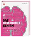 #dkinfografik. Das menschliche Gehirn und wie es funktioniert