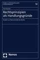 Rechtsprinzipien ALS Handlungsgrunde: Studien Zur Normativitat Des Rechts