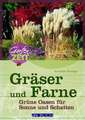 Gräser und Farne