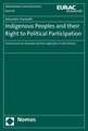 Indigenous Peoples and Their Right to Political Participation: International Law Standards and Their Application in Latin America