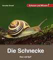 Die Schnecke