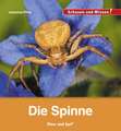 Die Spinne