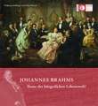 Johannes Brahms - Ikone der bürgerlichen Lebenswelt?