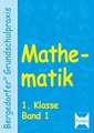 Mathematik 1 Klasse. Band 1