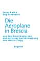 Die Aeroplane in Brescia