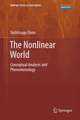 The Nonlinear World: Conceptual Analysis and Phenomenology