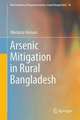 Arsenic Mitigation in Rural Bangladesh: A Policy-Mix for Supplying Safe Water in Badly Affected Areas of Meherpur District