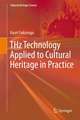 THz Technology Applied to Cultural Heritage in Practice