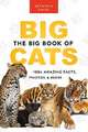 The Big Book of Big Cats