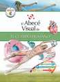 El Abece Visual del Cuerpo Humano = The Illustrated Basics of the Human Body