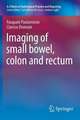 Imaging of Small Bowel, Colon and Rectum