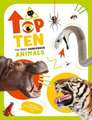 The Top Ten