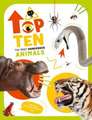 TOP TEN: The Most Lethal Animals