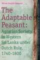 The Adaptable Peasant: Agrarian Society in Western Sri Lanka under Dutch Rule, 1740-1800