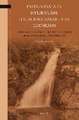 Evidentials in Ryukyuan: A Typological and Theoretical Study of Grammatical Evidentiality