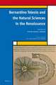 Bernardino Telesio and the Natural Sciences in the Renaissance