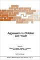 Aggression in Children and Youth