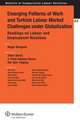 Emerging Patterns of Work and Turkish Labour Market Challenges Under Globalization. Readings on Labour and Employment Relations