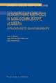Algorithmic Methods in Non-Commutative Algebra: Applications to Quantum Groups