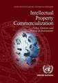 Intellectual Property Commercialization: Policy Options and Practical Instruments