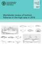 Worldwide review of bottom fisheries in the high seas in 2016