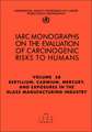 Beryllium Cadmium Mercury and Exposures in the Glass Manufacturing Industry