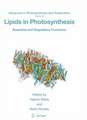 Lipids in Photosynthesis: Essential and Regulatory Functions