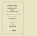Grenzprobleme der Phänomenologie: Analysen des Unbewusstseins und der Instinkte. Metaphysik. Späte Ethik (Texte aus dem Nachlass 1908 – 1937)