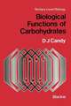 Biological Functions of Carbohydrates