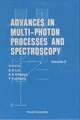ADV IN MULTI-PHOTON PROCESS...(V8)
