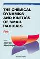 Chemical Dynamics and Kinetics of Small Radicals, the - Part I