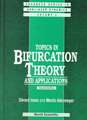 Topics in Bifurcation Theory and Applications (2nd Edition): Proceedings of the Summer School on Managerial Complexity